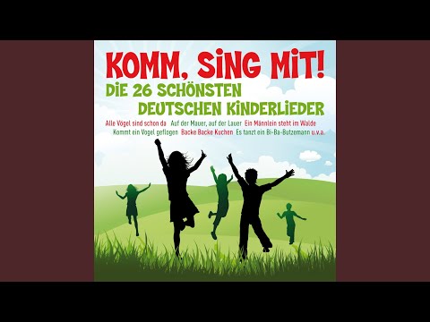 ABC, die Katze lief im Schnee