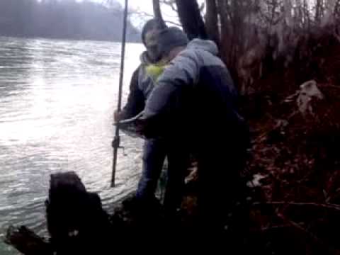 Pecanje skobalja na zimovniku!!!