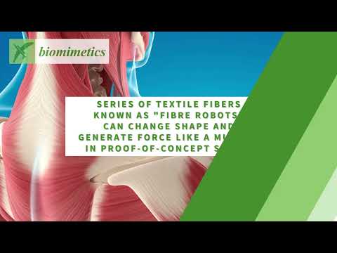 Researchers test novel artificial muscle fibres design as cell scaffolds