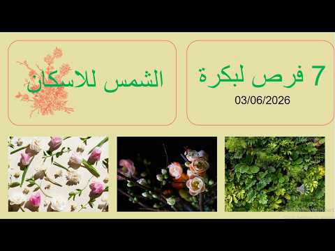 El Shams Housing and 7 Opportunities for Tomorrow (06/03/2026)
