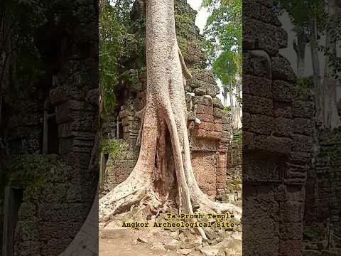 Templo Ta Promh | Sítio Arqueológico de Angkor | Camboja #travel #siemreap