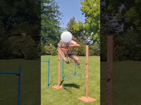 lubicie treningi parkurowe?🔥 #kht #horse #hobbyhorse #equestrian #hobbyhorsing akt? Wybije sie?