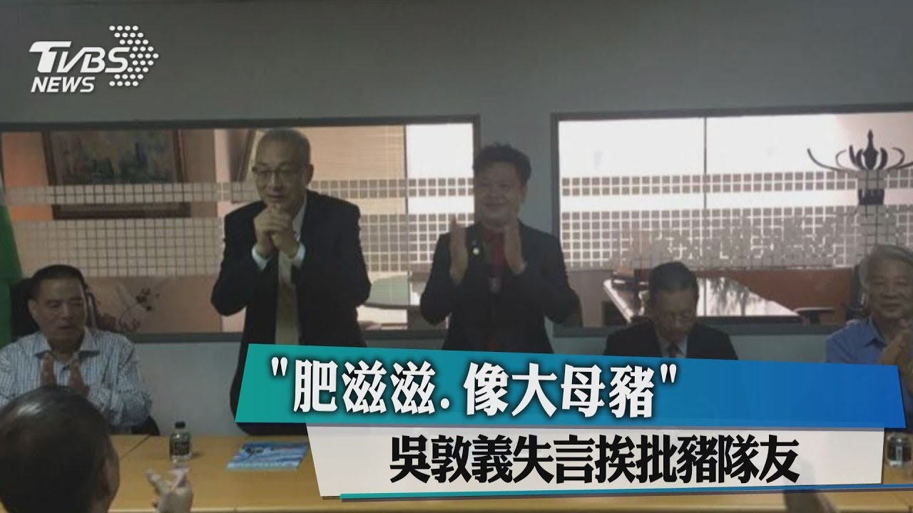 「肥滋滋、像大母豬」　吳敦義失言挨批豬隊友