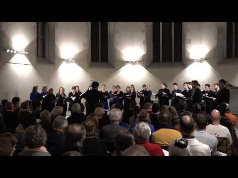 St. St. Mokranjac - XV petnaesta rukovet - Fifteenth garland