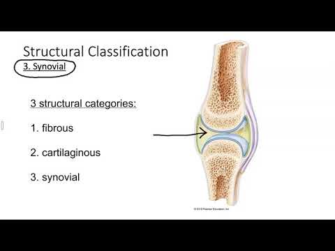 Classification of joints