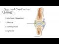 Classification of joints
