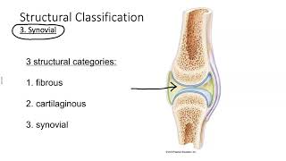 Classification of joints