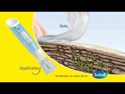 comment appliquer excilor