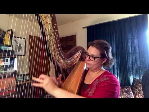 Promotional video thumbnail 3 for Anna Gallo, Harpist, Pianist, & Vocalist