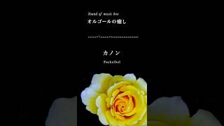 Download lagu 【癒しオルゴール】ヒーリング・睡眠音楽「カノン・パッヘルベル」【Relaxing Music Box】sleep, study, sound, Canon Pachelbel mp3 Download lagu 【癒しオルゴール】ヒーリング・睡眠音楽「カノン・パッヘルベル」【Relaxing Music Box】sleep, study, sound, Canon Pachelbel mp3