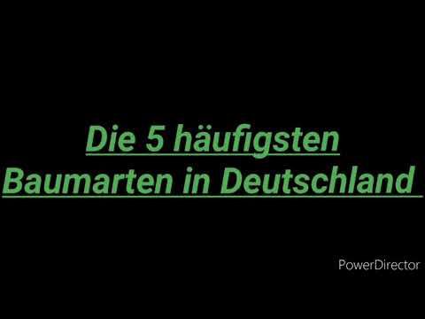 Die 5 häufigsten Baumarten in Deutschland