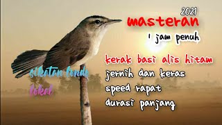 Download lagu masteran kerak basi ALIS HITAM||terbaru 2021, ada jedanya! mp3