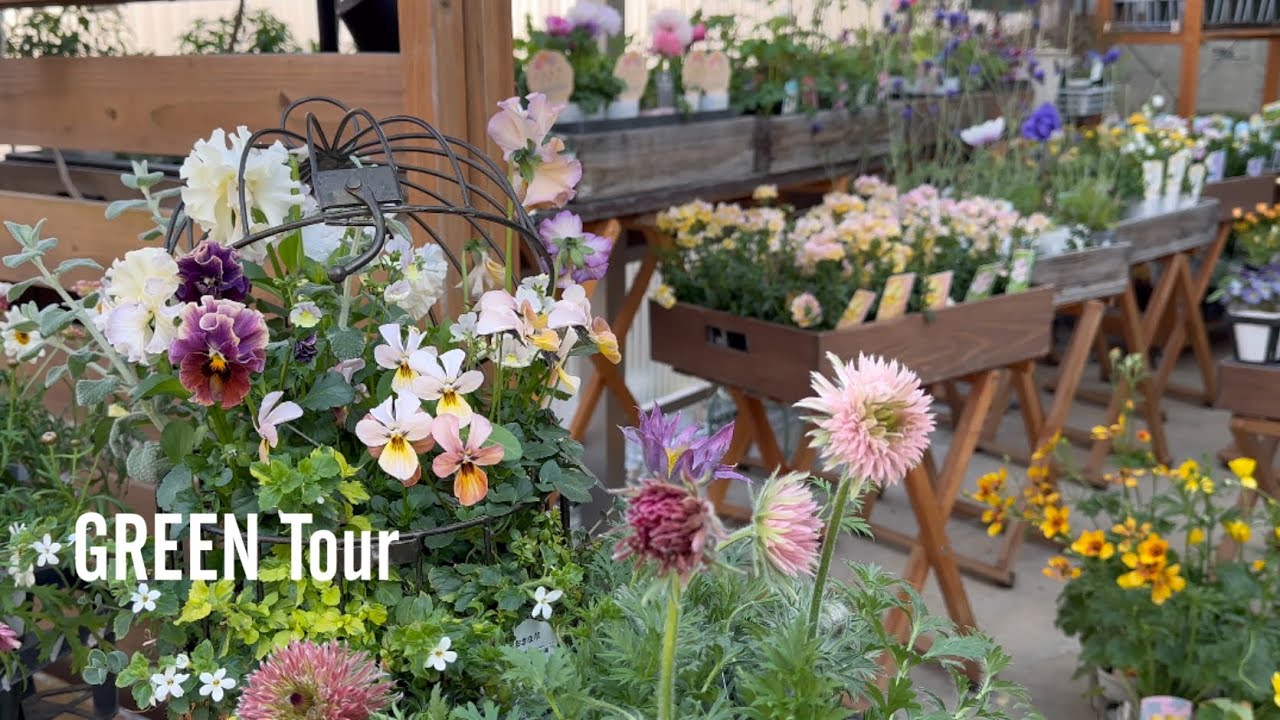 希少品種のブランド苗とこだわりの寄せ植えギャザリングのお店では他とは被らない希少苗が豊富に揃うナチュラルで落ち着いた空間！| 花工房Flulu | 園芸/ガーデニング店巡り | 徳島/ 佐古