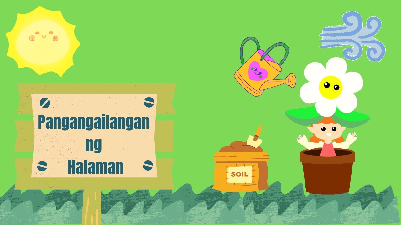 Pangangailangan ng Halaman (Wastong Pangangalaga sa Halaman)
