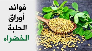 فوائد أوراق الحلبة الخضراء .. تعرف عليها