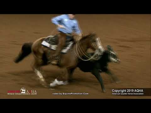 2019 AQHA Senior Working Cow Horse