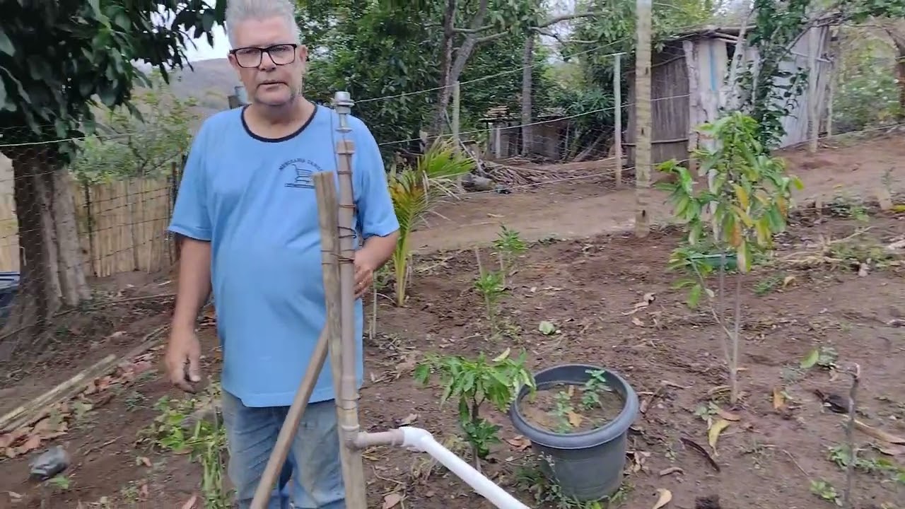 dia de trabalho no terreno