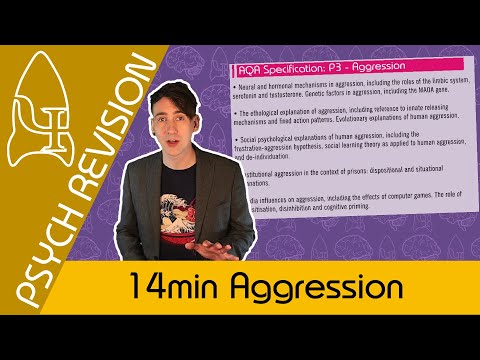 Aggression in 14 min