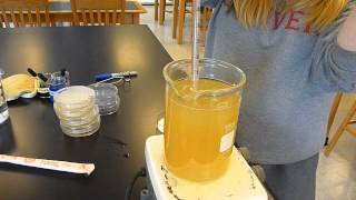 Making a Streak Plate Part 1