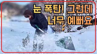 눈 속에 파묻힌 첼리팜, 동물들은 잘 있을까요?
