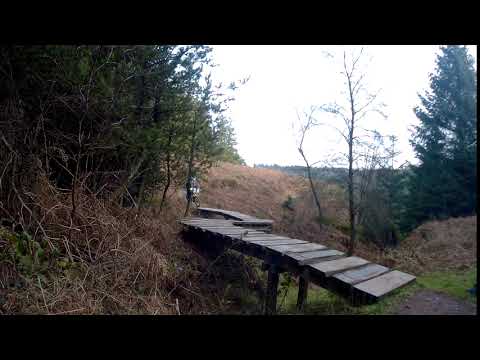 2019 0217 013656 040