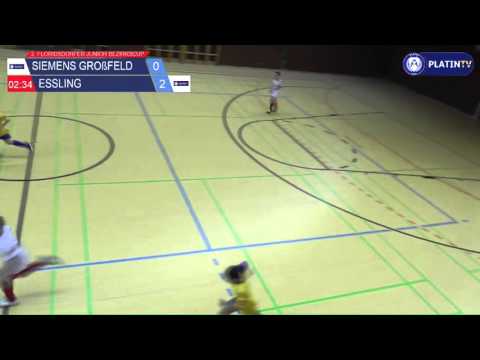 Tor -  Siemens Großfeld / Essling am 06.12.2015 14:05