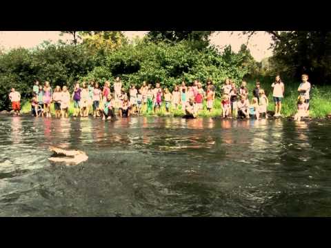 Crocodil de Nil - Speranta pentru copii vol. 5