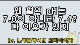 혈액 pH가 중성(7.0)이 아닌 7.4(알칼리성)인 이유: 의학적 이득은 뭘까?