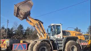 Liebherr INNE Ładowarka LIEBHERR L 566 wheel loader for sale - Image 4 | Machineryline IE Liebherr INNE Ładowarka LIEBHERR L 566 wheel loader | Image 4 - Machineryline