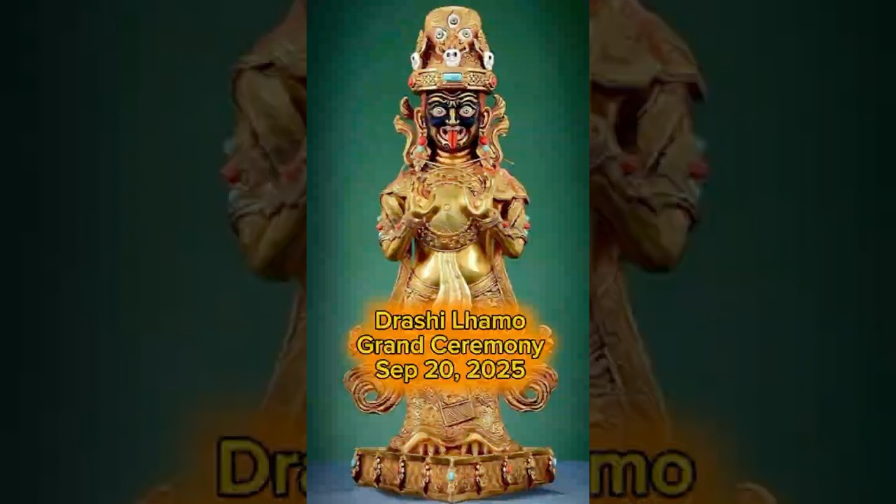 Drashi Lhamo transmission announced
