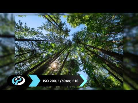 Sony a7R II Product Overview