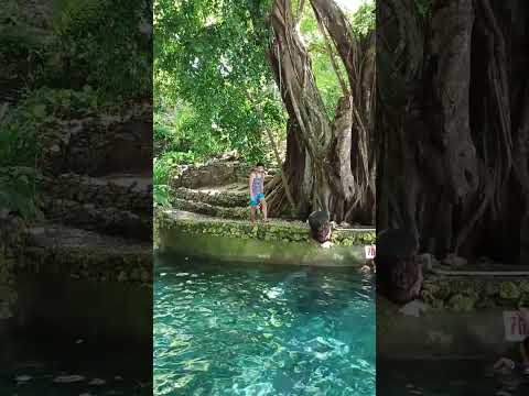 Amazing Clear water #travel #cebu #springresort #spring #freshwater #tubod