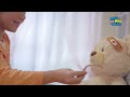 BOO-BOO BEAR Interaktyvus meškiukas - Pacientas (lietuvių kalba)