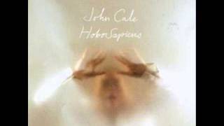 John Cale - Look Horizon