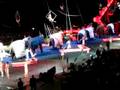 Circus In Houston 2
