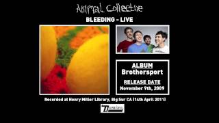 Animal Collective  - Bleeding (Live)