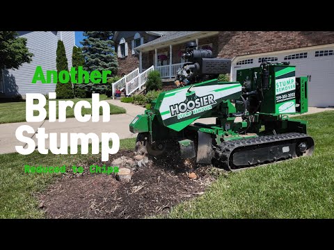 SP5014NTX DEMONSTRATION