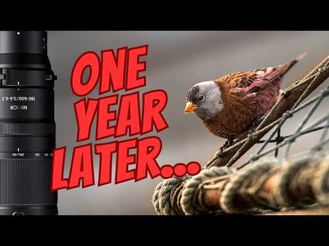 Nikon Z 180-600 Review After One Year: The Good & The Bad