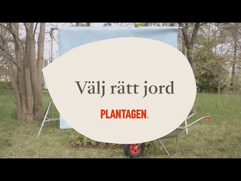Välj rätt jord