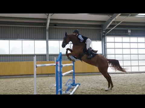 wkd hurricane jumping