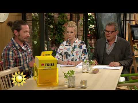 Trissvinnarens tatueringar får Jenny och Steffo att gå bananas - Nyhetsmorgon (TV4)
