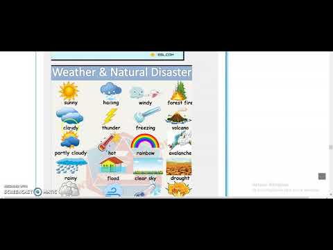 VIDEO VOCABULARY REFERENCE 1