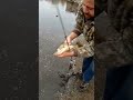 Video Thumbnail for Tumor Fish.