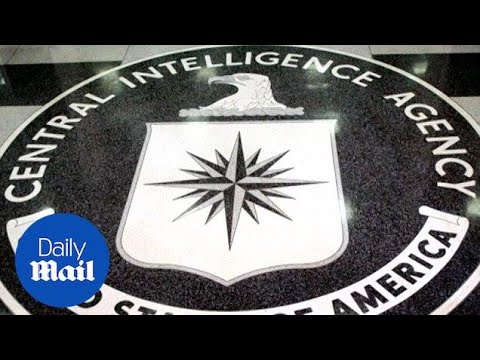 Wikileaks dumps information claiming proof of CIA hacking - Daily Mail