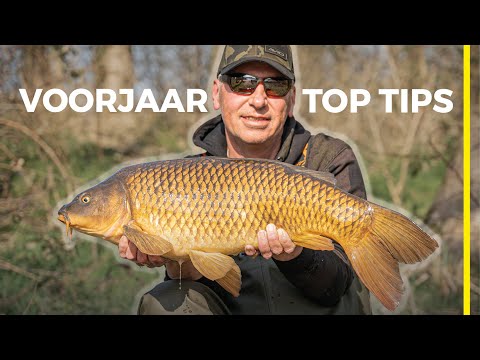 Karpervissen in het voorjaar - 5 top tips!