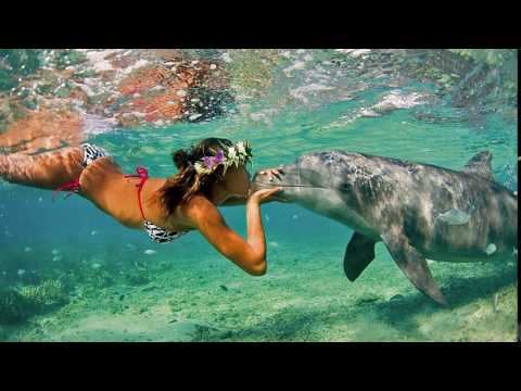 Sergio - Tell Me What You Dream