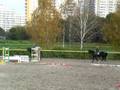 Лошади Битца тренировка конкур видео 1 