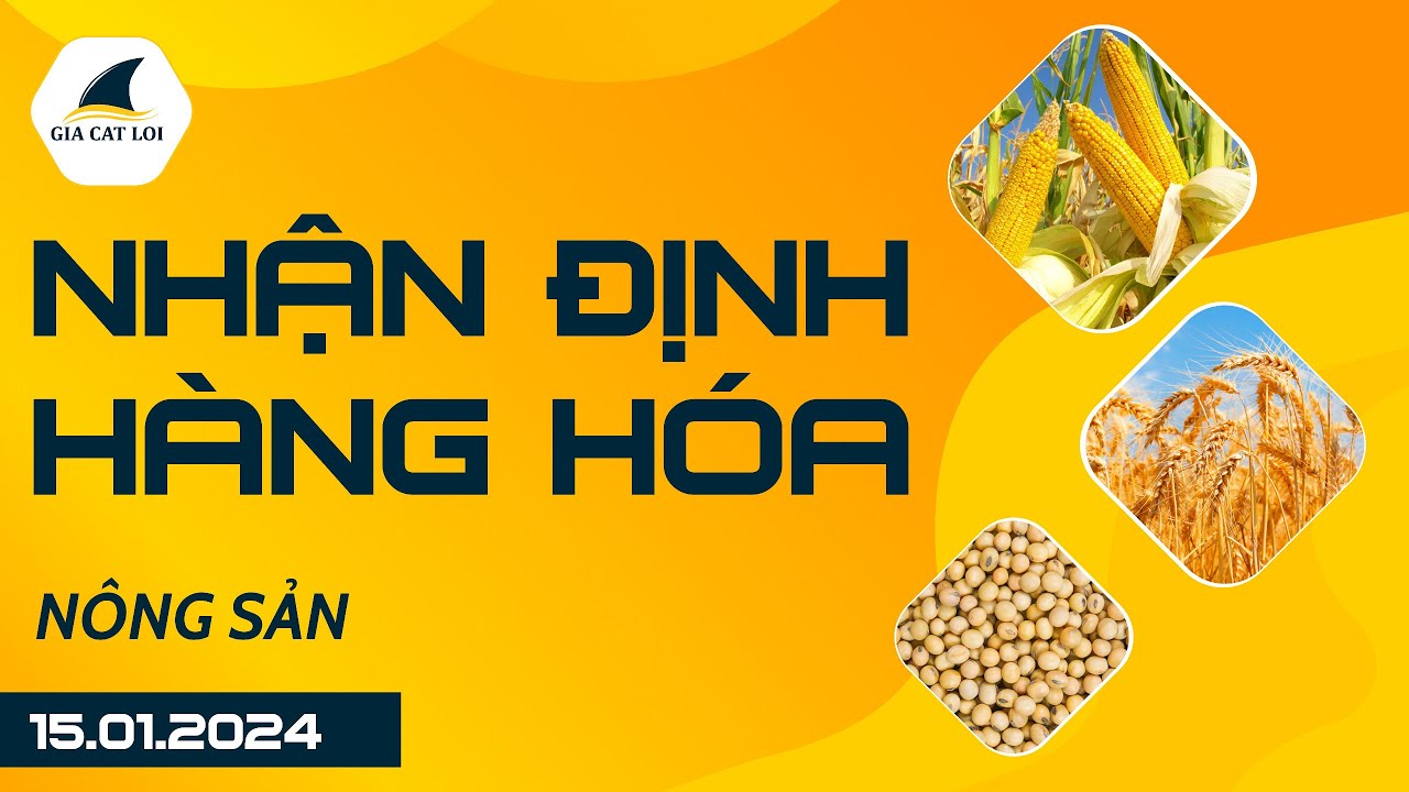 Nhận Định Hàng Hoá Nông Sản Ngày 15/01/2024