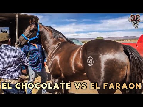 El Chocolate Vs El Faraón | Carril La Tira