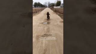 Download lagu story wa 30 detik sad|monkey sad story #shorts #storywa mp3